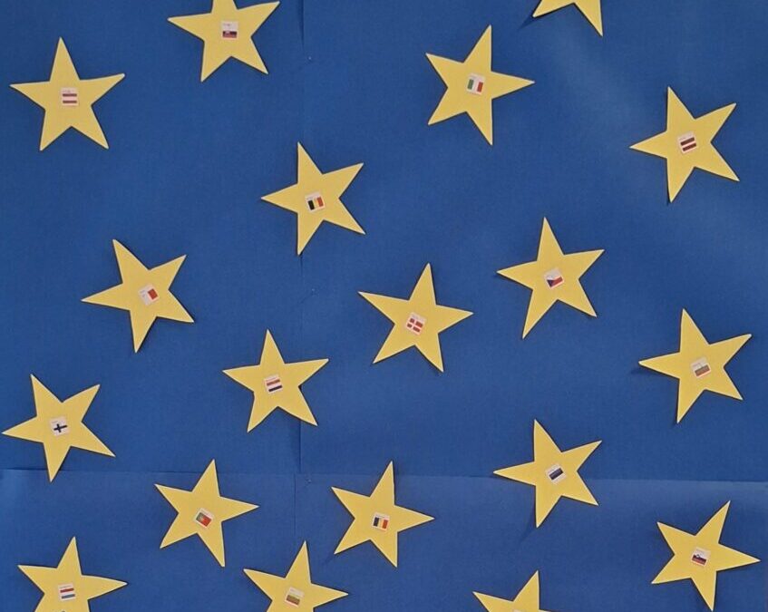Dan Europe
